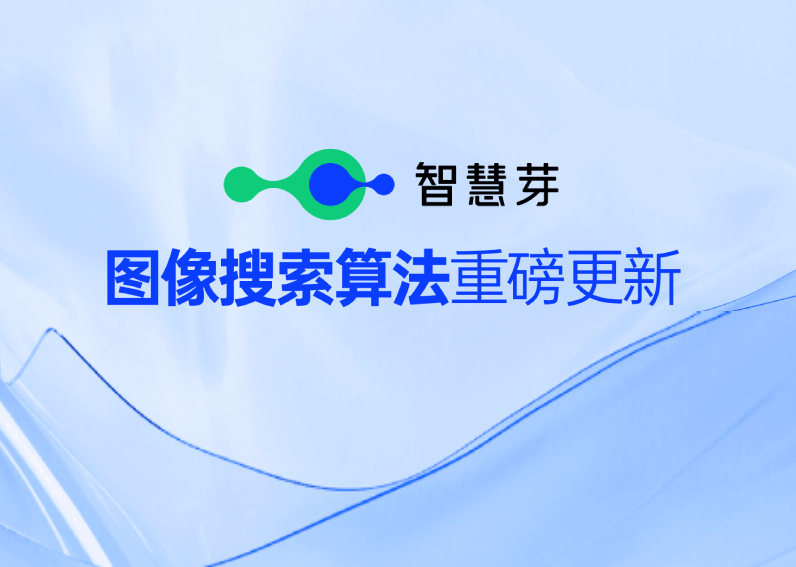 304am永利集团图像搜索算法数据解决方案，一图排查全球专利侵权风险